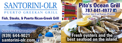 Santorini Ocean Lounge Restaurant